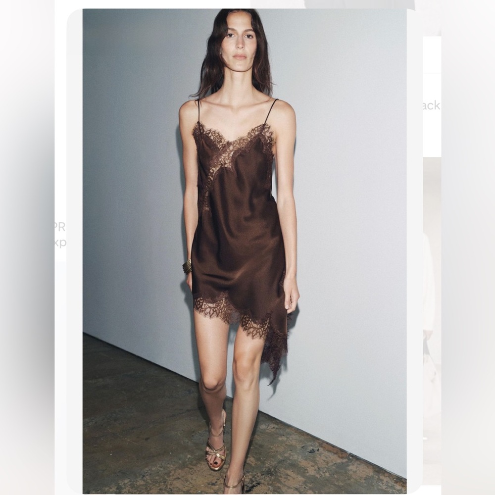 Zara Brown Lace-Accent Chemise